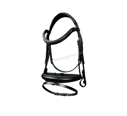 Leather Bridle 